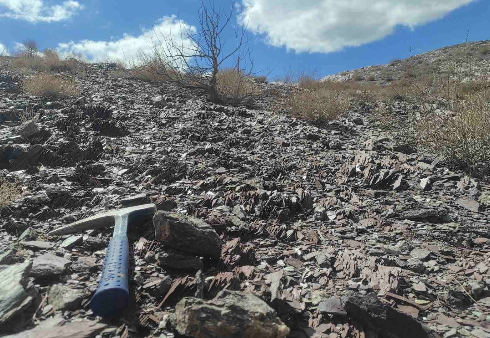 Note: Point 3_ TD-TP-1, Purple calcareous shale with sandstone layer, si and volcanic rock
Azimuth angle: 165? (S)
Pitch angle: 7.2? (-5.7?)