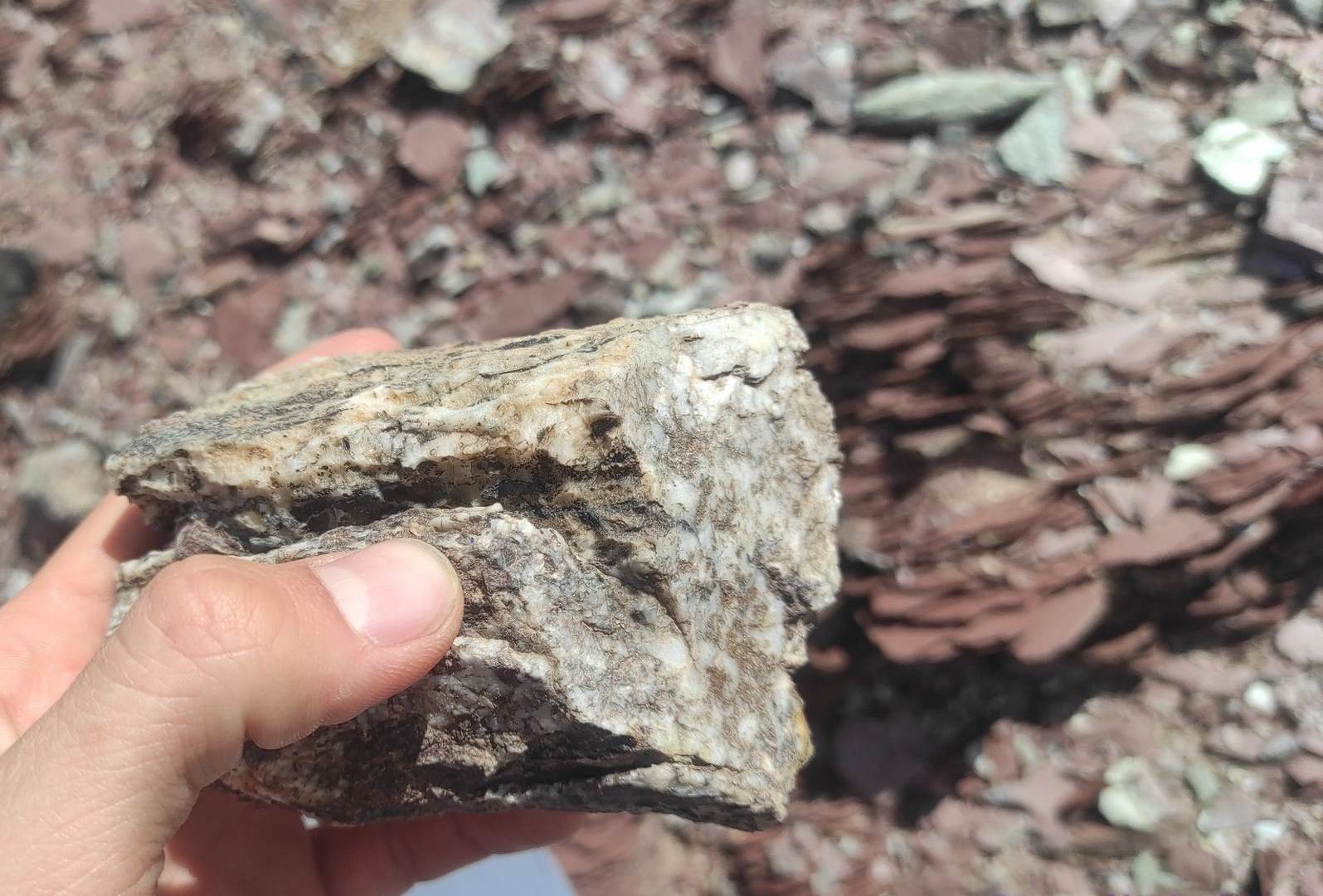 Note: Point 3_ TD-TP-1, Purple calcareous shale with sandstone layer, si and volcanic rock
Azimuth angle: 100? (E)
Pitch angle: -62.5? (-3.4?)