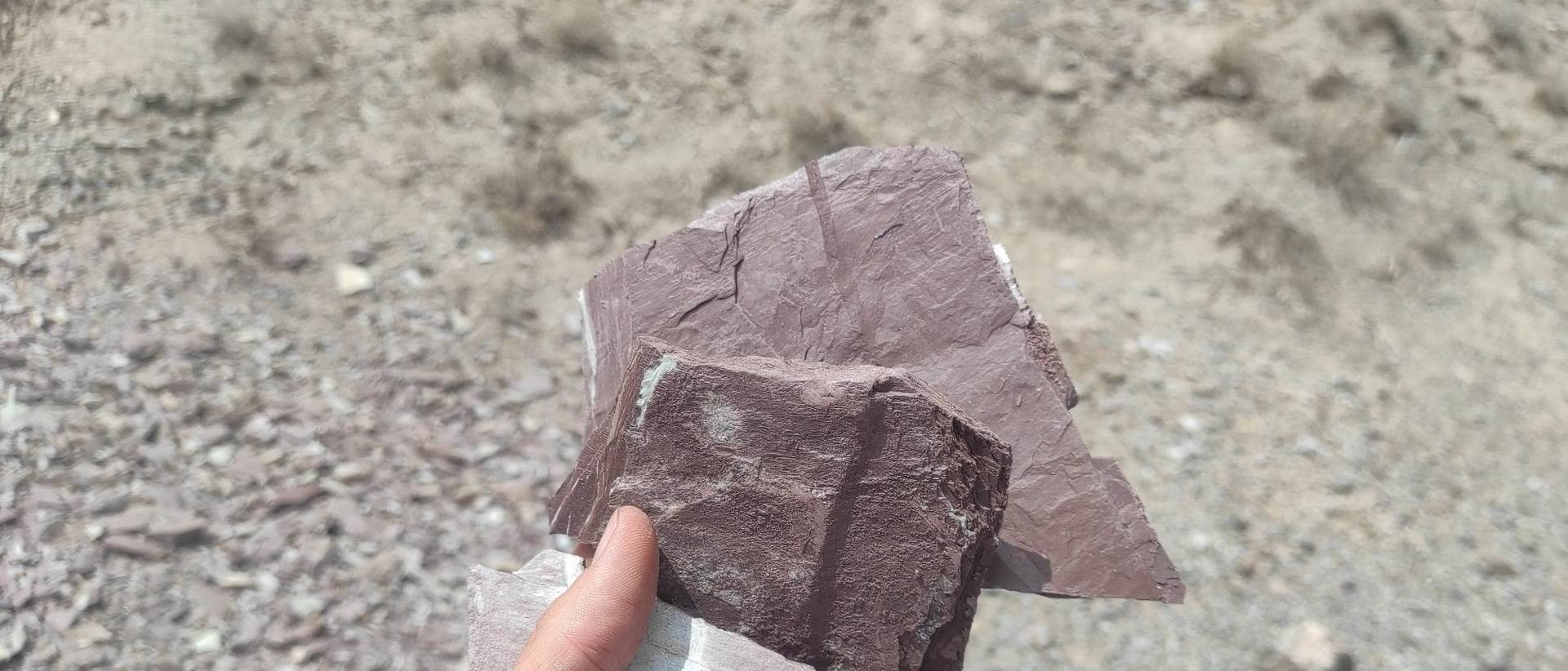 Note: Point 4_ TD-TP-2, 1-2m, calcareous shale purple and olive ,
Azimuth angle: 250? (W)
Pitch angle: -47.8? (3.9?)