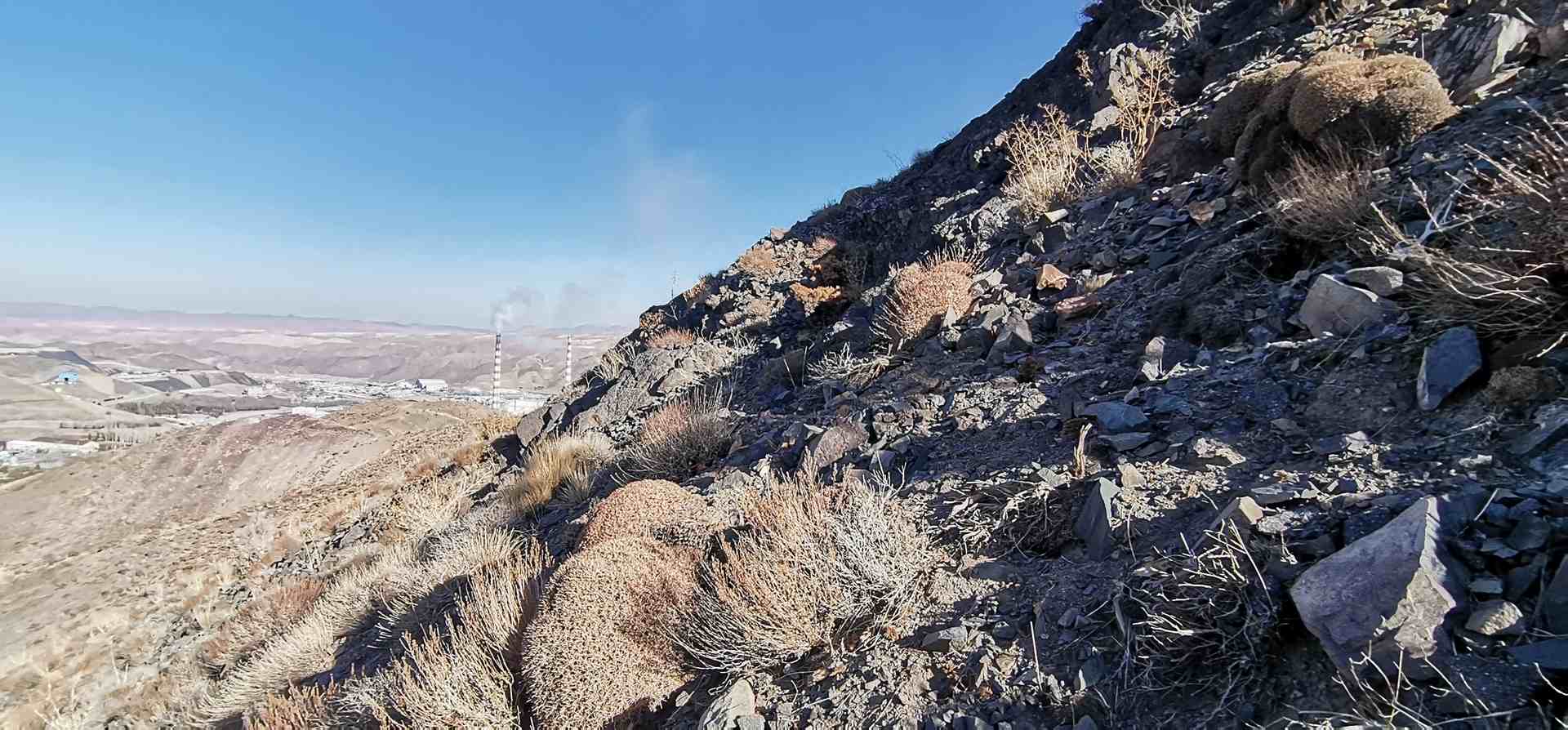 IMG_20221128_141223 (2)