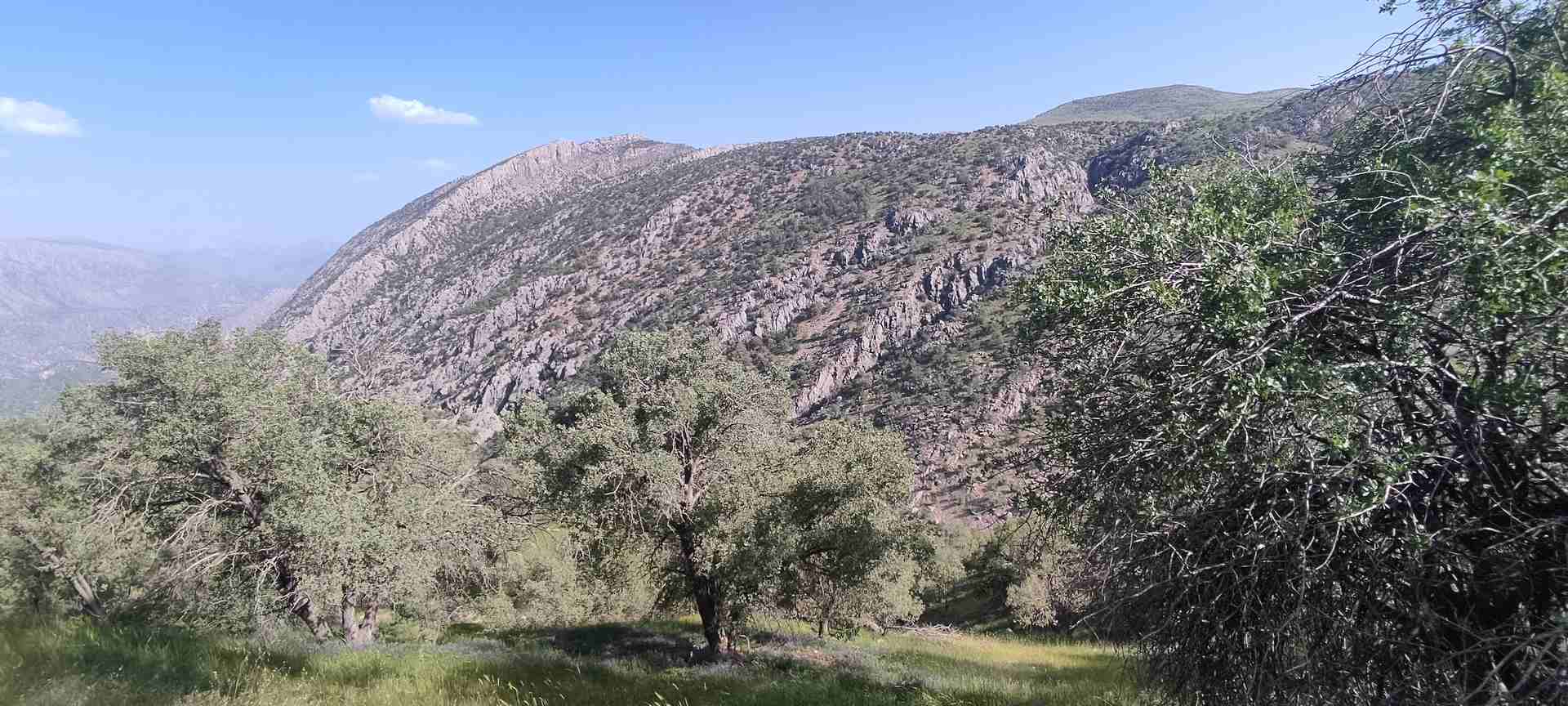 IMG_20230512_160321 (2)