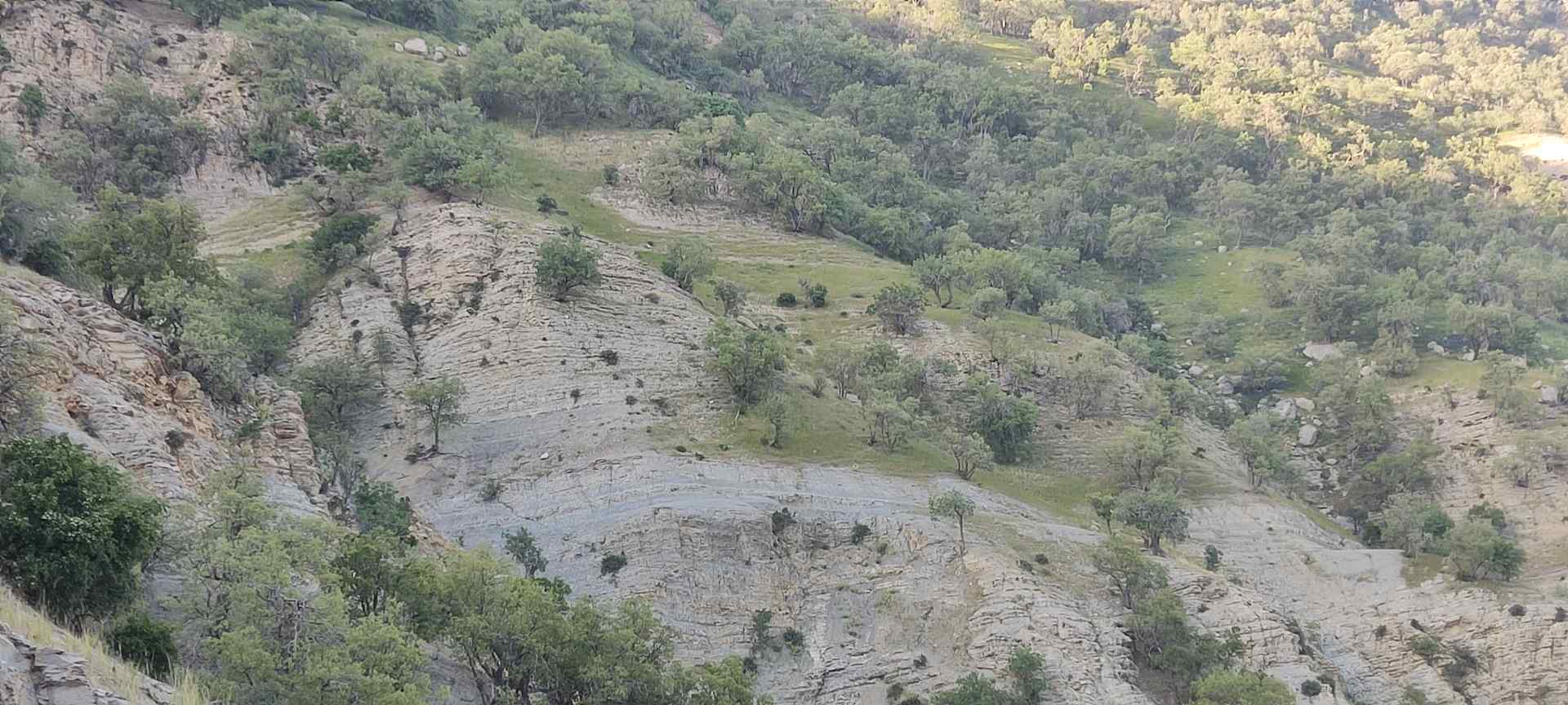 IMG_20230512_173009 (2)