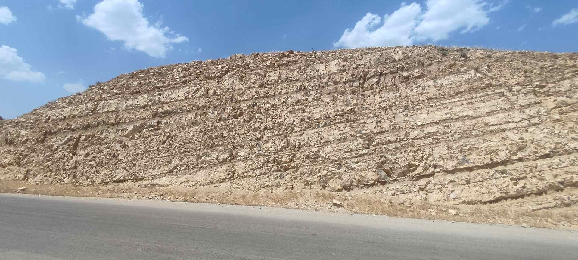 IMG_20230513_131328 (2)