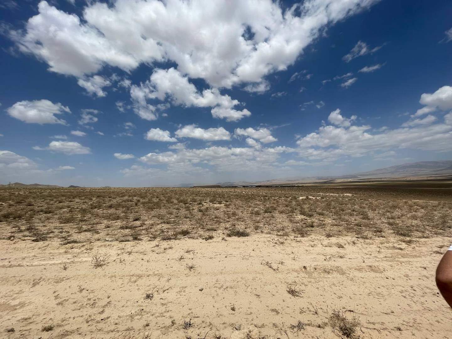 IMG_20230805_094321_314