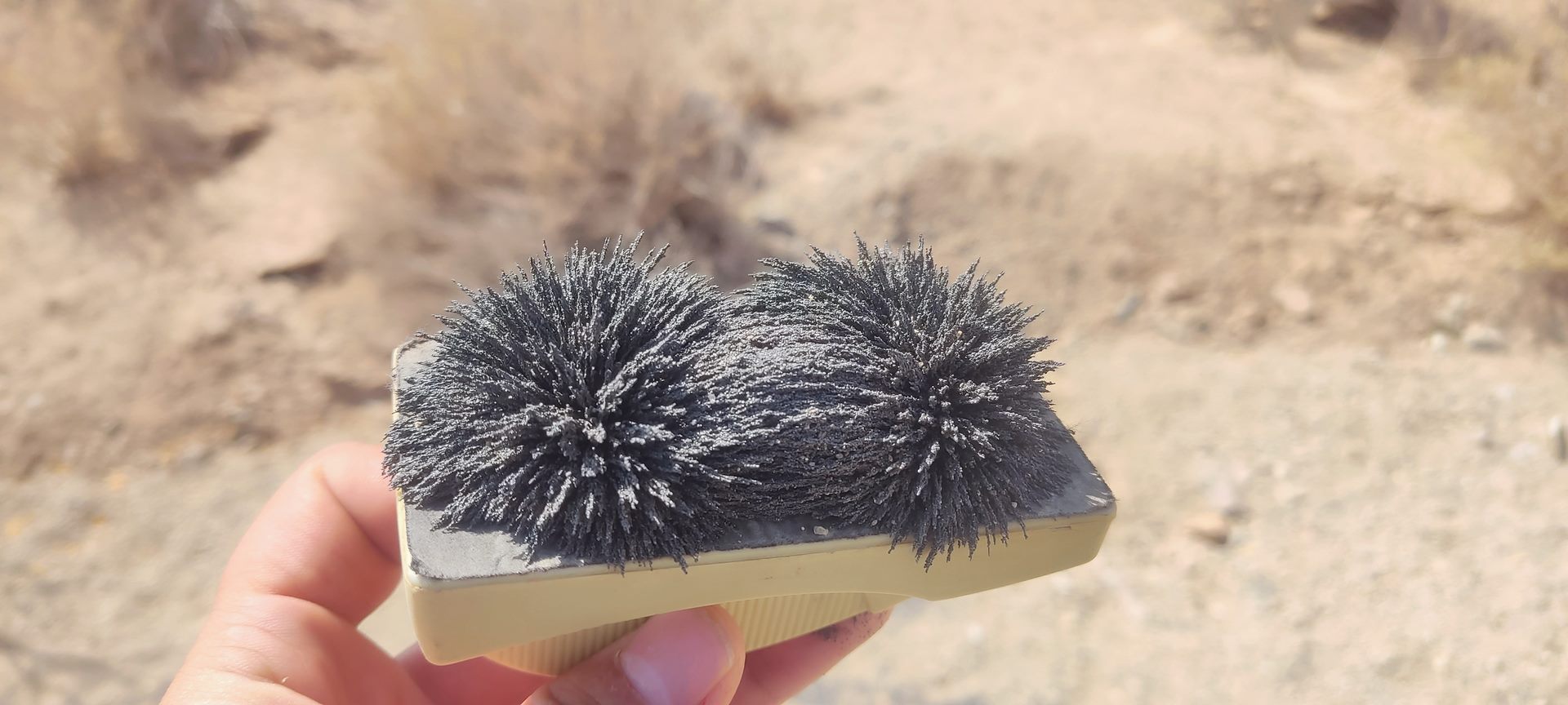 IMG_20231024_115846 (Copy)