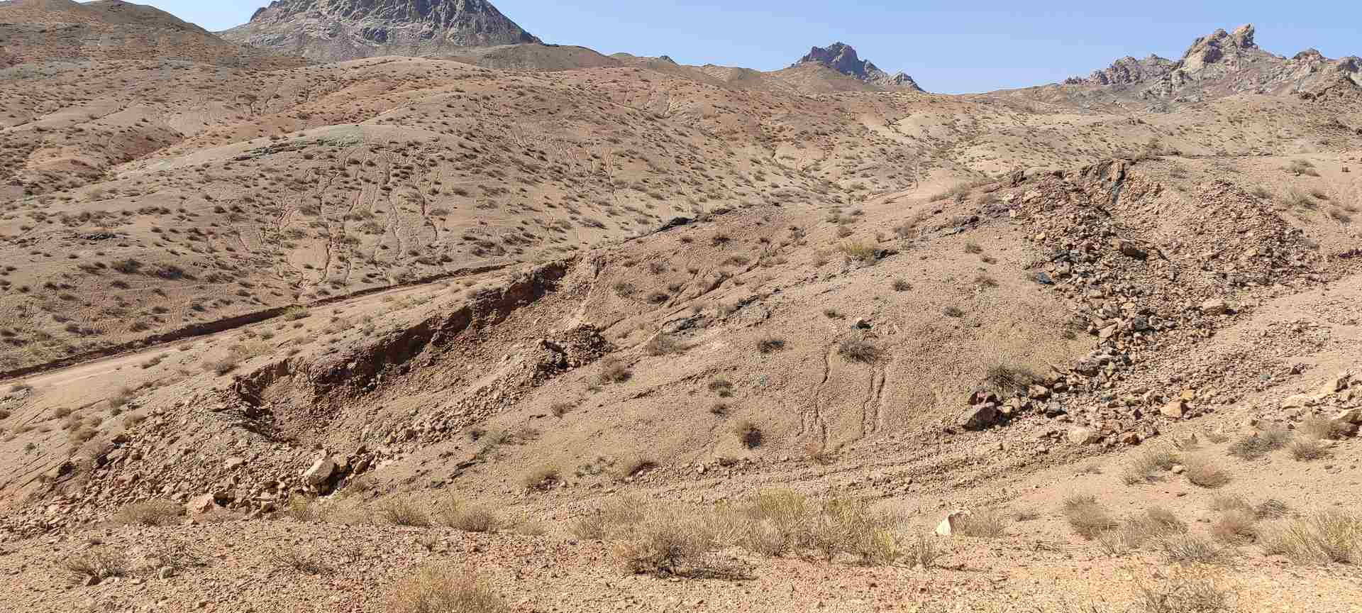 IMG_20231024_130710 (2)