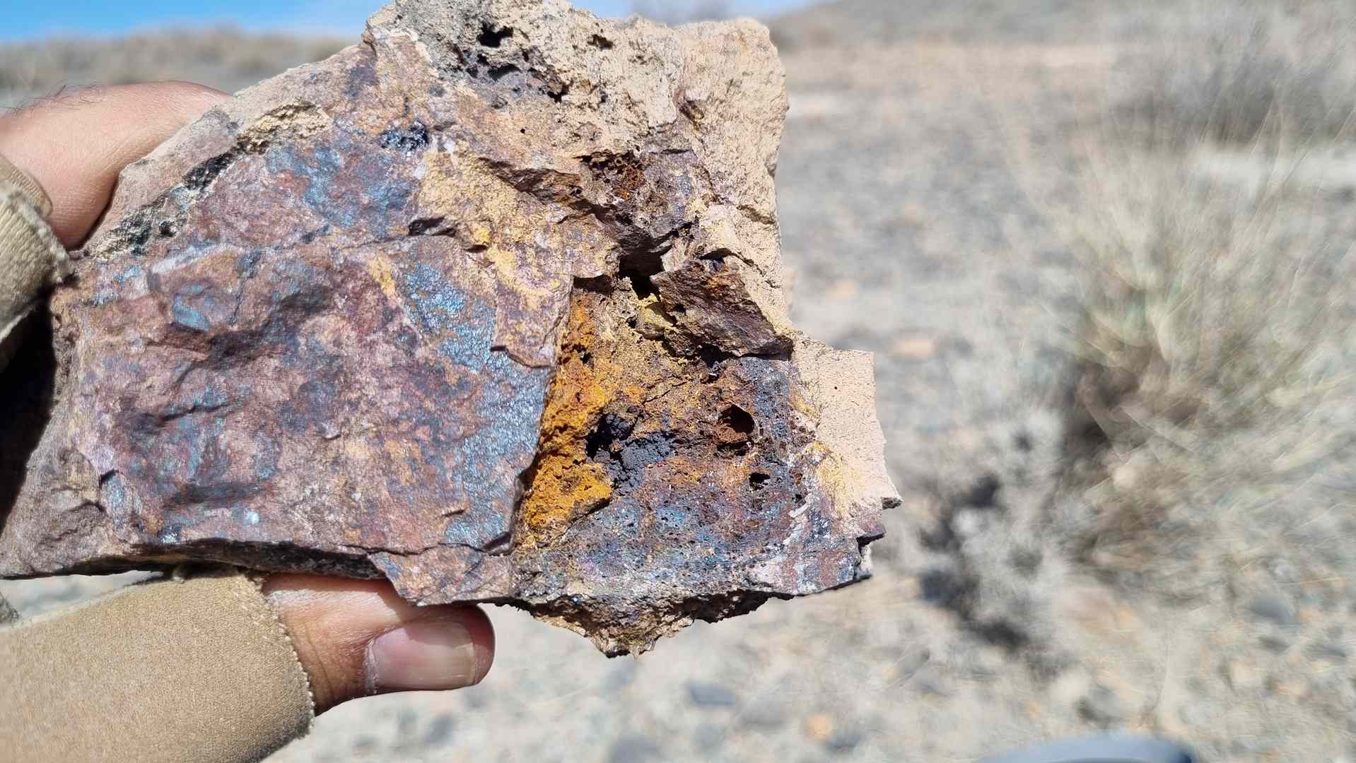 IMG_20231101_124043 (Copy)