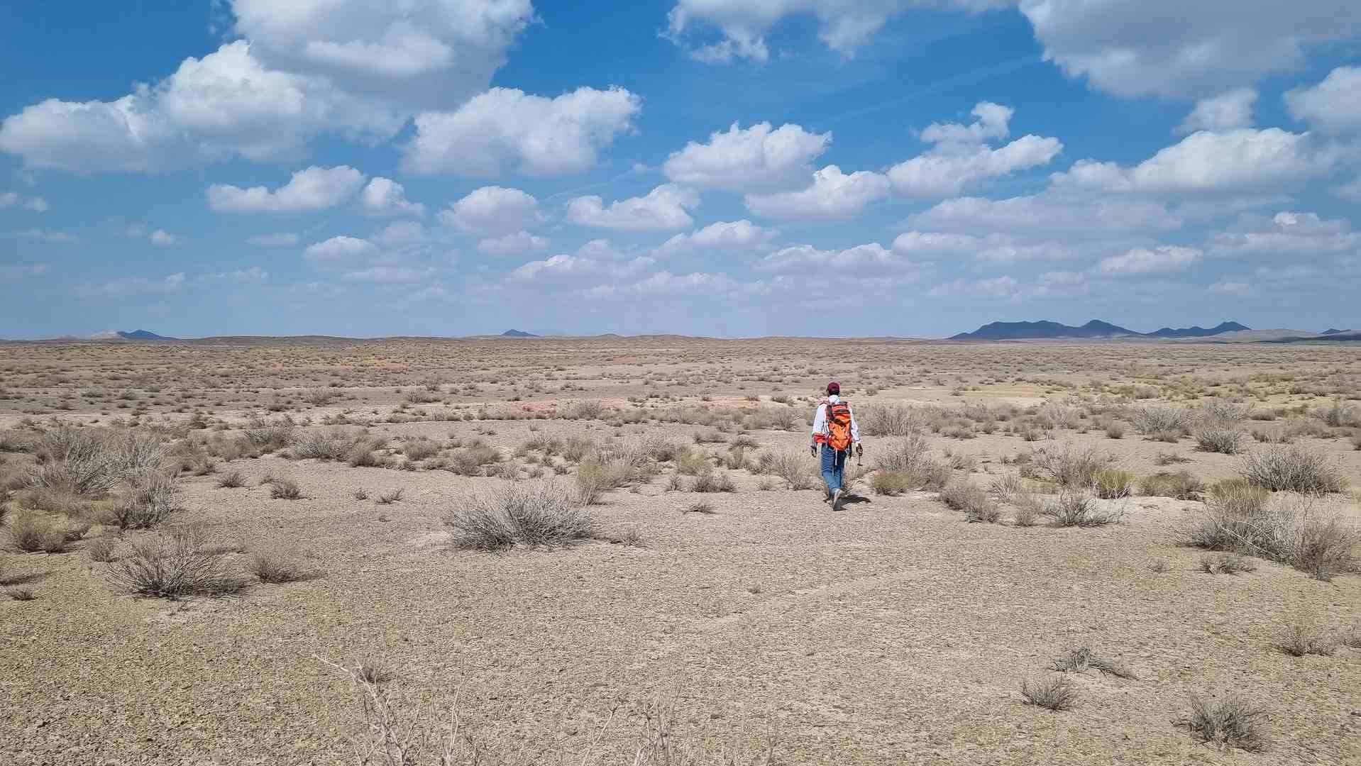 IMG_20231104_131025 (Copy)