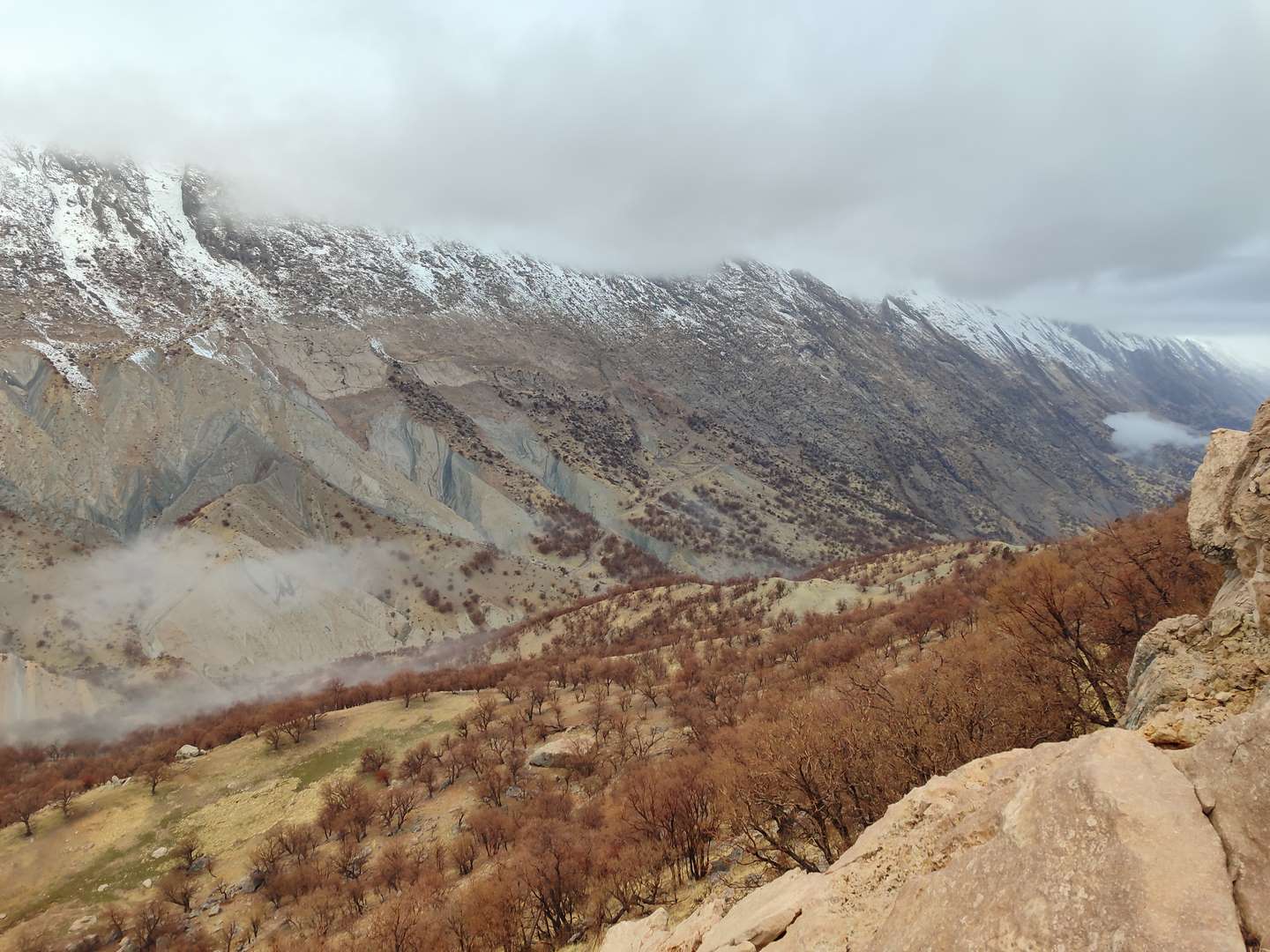 IMG_20231228_134616 (2)