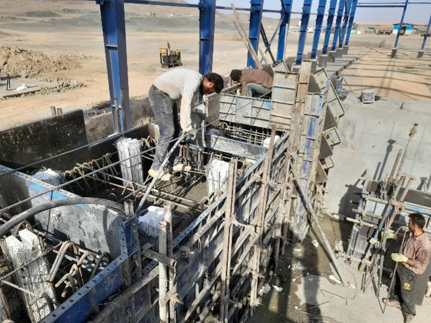 Screenshot_20240121_163829_Gallery (2)