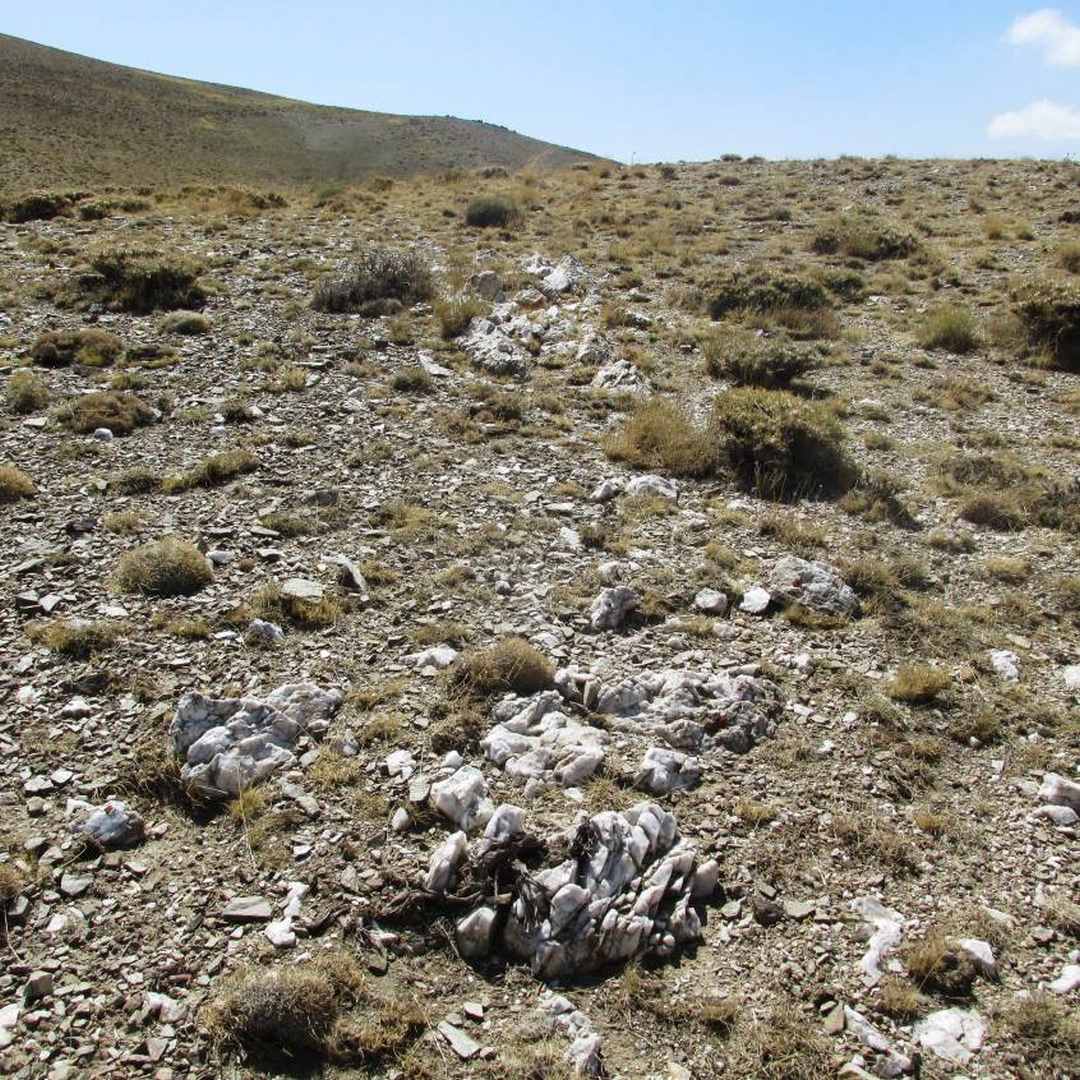 ZAR-5000-TOTAL (2) (Copy) (Copy)