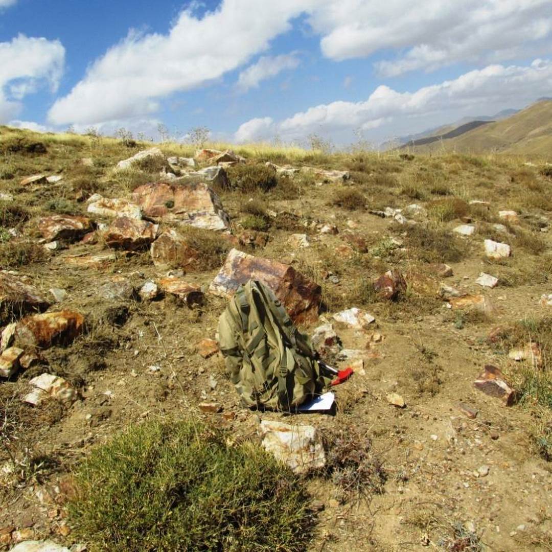 ZAR-500TAL (2) (Copy) (Copy)