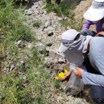 Senior supervision on carrying out explorational operations subject to mining consultants’ contracts contracting parties with Paya Mineral Exploration Management Co. in explorational areas